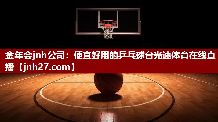 金年会jnh公司：便宜好用的乒乓球台光速体育在线直播