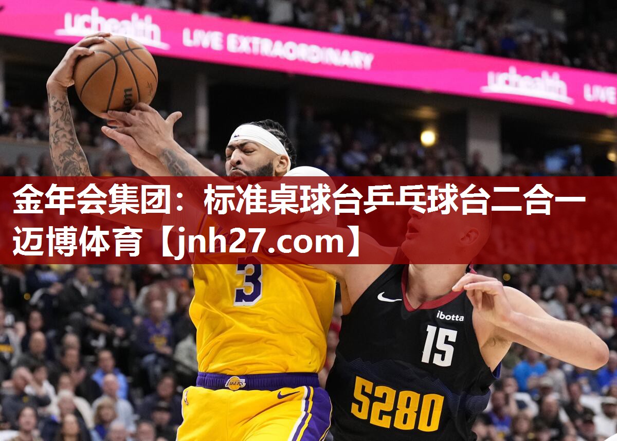 金年会集团：标准桌球台乒乓球台二合一迈博体育