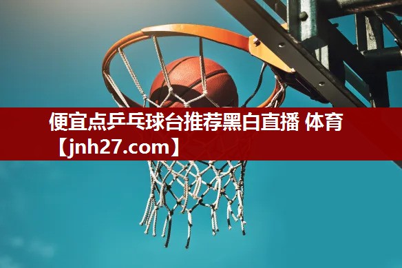 便宜点乒乓球台推荐黑白直播 体育