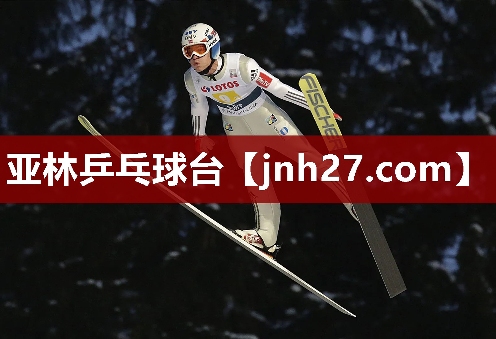亚林乒乓球台